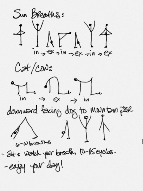 yoga at home guide showing various poses with sun breaths, cat cow pose and downward facing dot to mountain pose